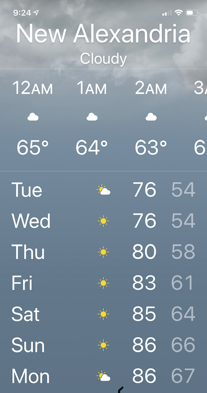 weather forecast
